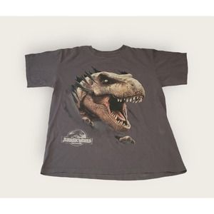 Jurassic World T Shirt Medium Charcoal Gray T-Rex Dinosaur Jurassic Park